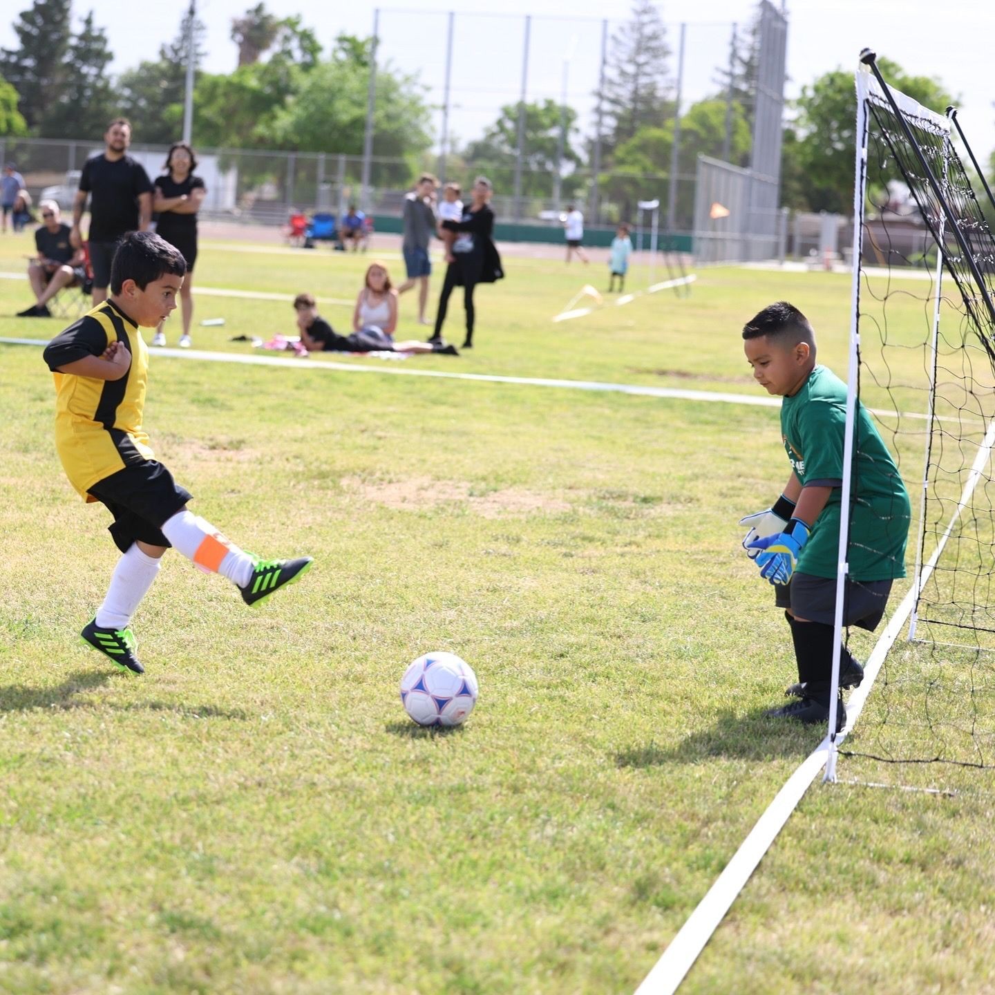 Fall Soccer Registration Form
