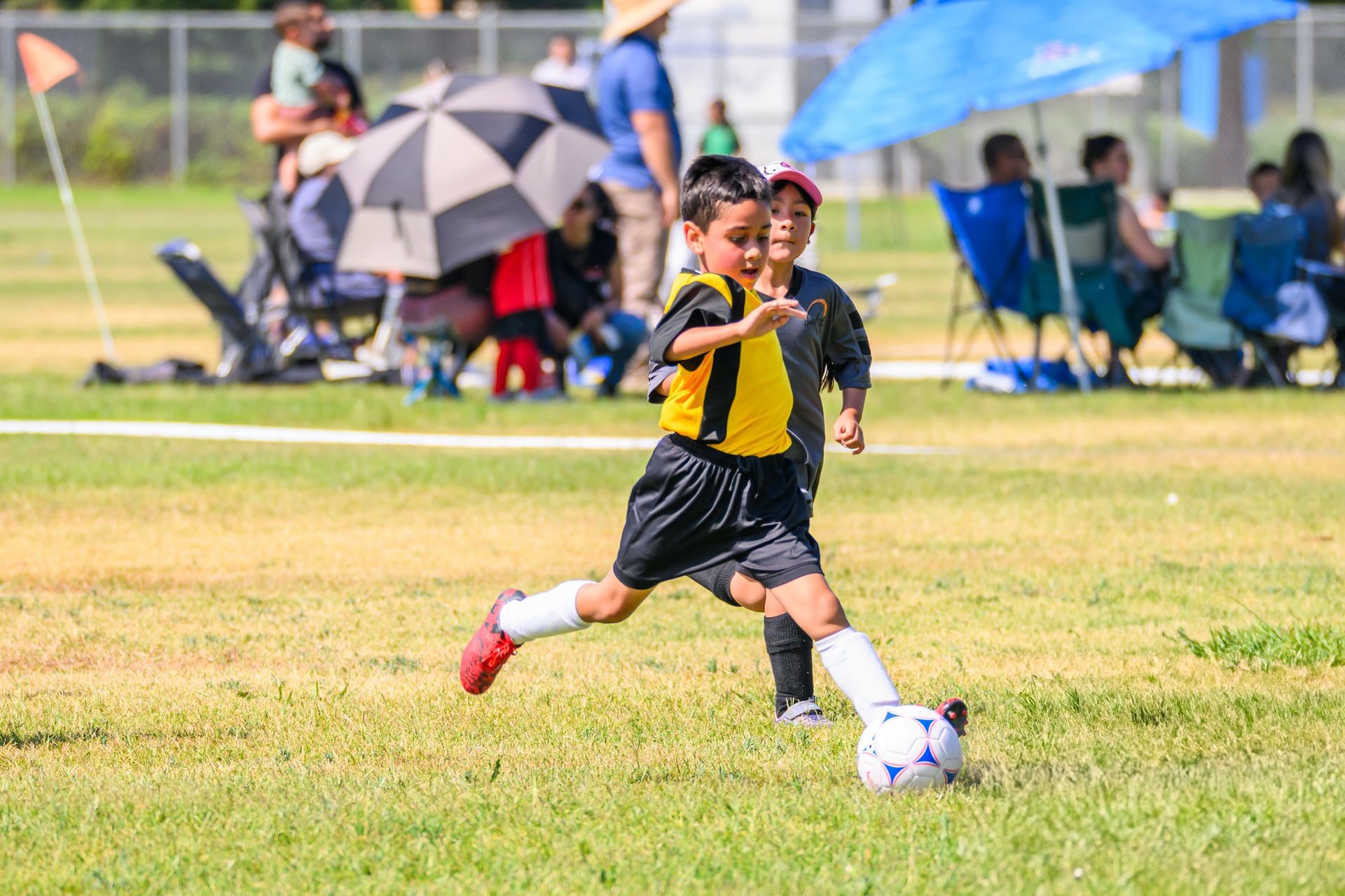 Fall Soccer Registration Form