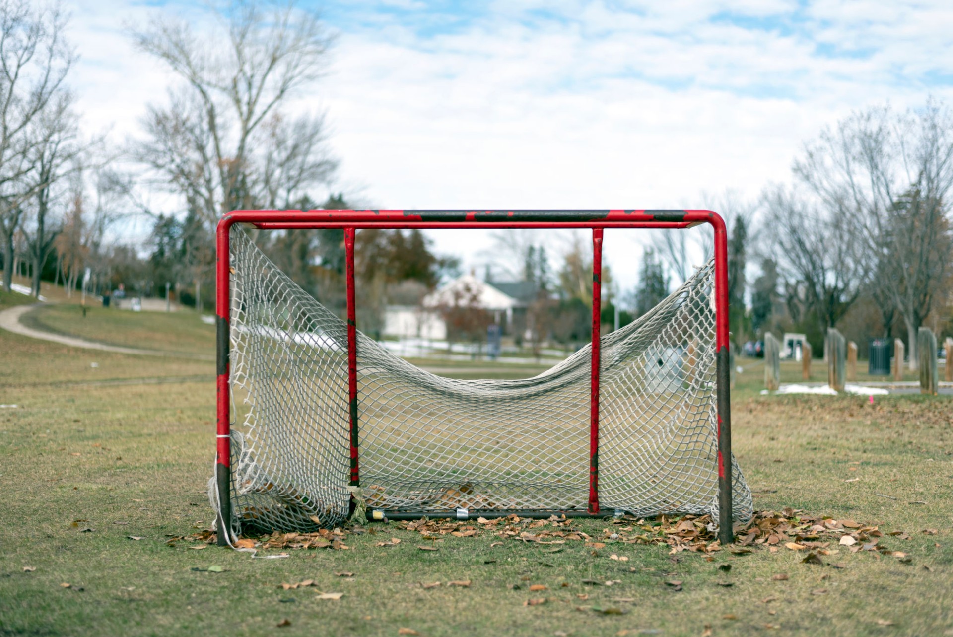 Hockey net outdoors